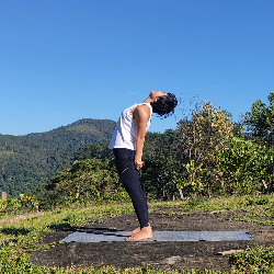 Hình đại diện của người dùng